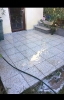 Bilder_88