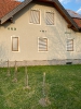Bilder_92